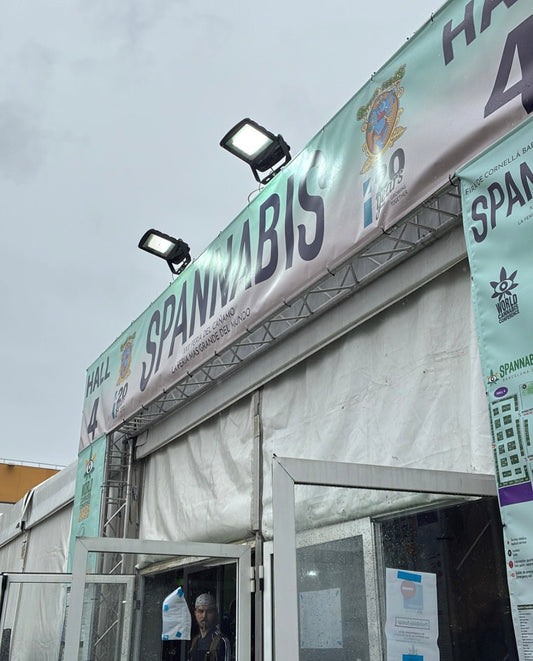 Spannabis 2025 : une immersion au cœur de la culture cannabique - SosFaf