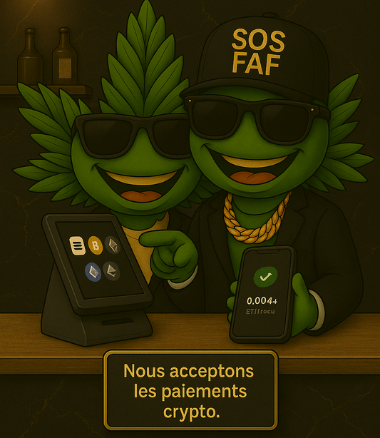 SOSFAF accepte désormais les paiements en cryptomonnaie
